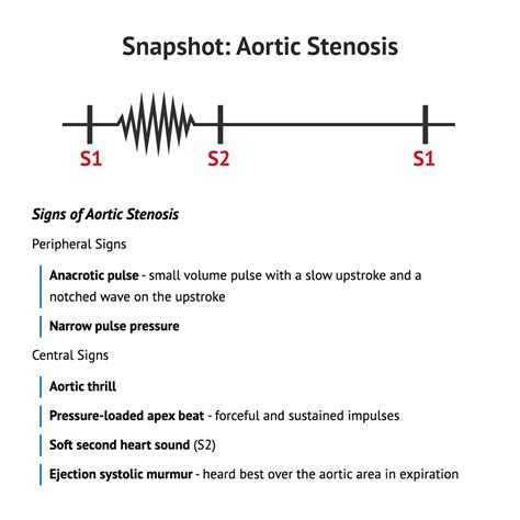 Aug 4, 2022 · aortic stenosis results in ↑ left heart pressure → left ventricular hypertrophy (LVH) LVH and stiff, noncompliant walls result in ↑ oxygen demand and clinically manifests as angina. over time, aortic stenosis results in ↓ blood flow to the vertebral, basilar, and carotid arteries, resulting clinically in syncope. Epidemiology. 